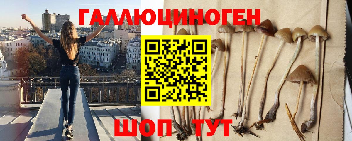 Нерюнгри  Псилоцибиновые грибы прущие грибы  Вход с VPN 